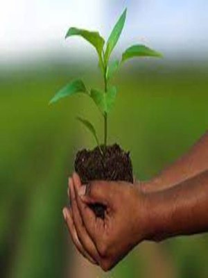 cover image of AGRI-INSURANCE IN  INDIA &  GLOBAL PRACTICES